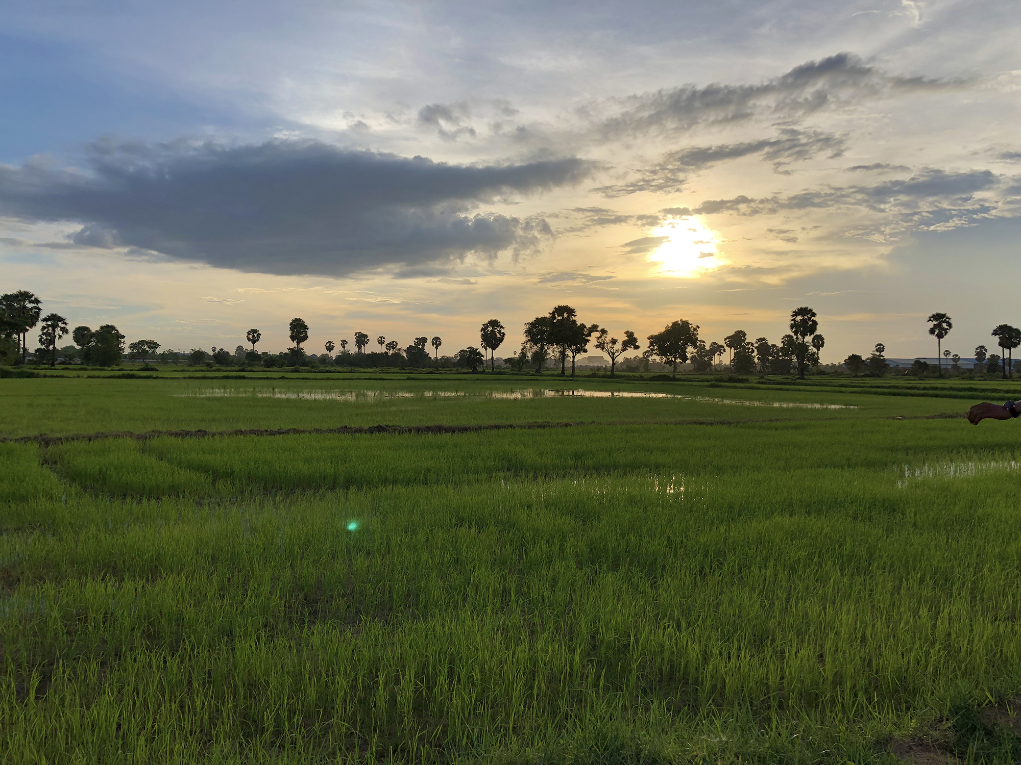 cambodian-countryside-sunset